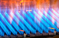 Swinden gas fired boilers